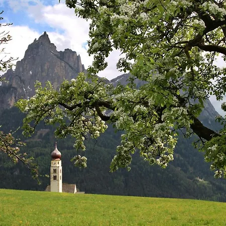 Schwarzer Adler Siusi