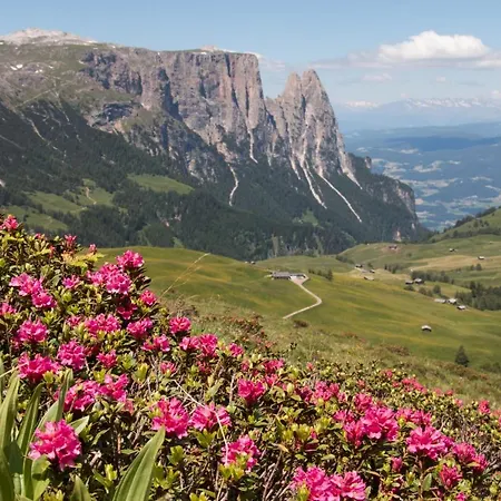 Schwarzer Adler Hotel 4*
